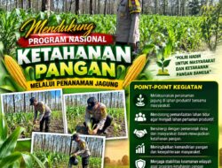 Dukung Asta Cita, Polsek Parengan Turun Langsung Pantau Ladang Jagung Warga Desa Parangbatu