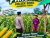 Polri Dukung Astacita, Polsek Merakurak Polres Tuban Turun Cek Tanaman Jagung Warga di Desa Tuwiri Wetan