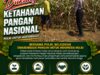 Dukung Ketahanan Pangan, Polsek Kerek Sambang Lahan Jagung di Desa Binaan