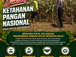 Dukung Ketahanan Pangan, Polsek Kerek Sambang Lahan Jagung di Desa Binaan