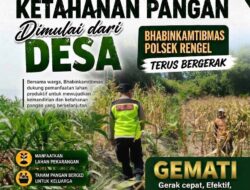 Polri Dukung Astacita, Polsek Rengel Polresta Tuban Turun Cek Tanaman Jagung Warga di Desa Pekuwon