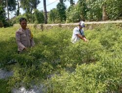 Patroli Wisata dan Sambang Warga, Upaya Preventif Polsek Madapangga Jaga Kondusifitas Kamtibmas