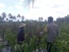 Bhabinkamtibmas Desa Kesik Cek Lahan Ketahanan Pangan Bergizi, Dukung Kemandirian Pangan Warga
