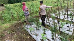 Bhabinkamtibmas Masbagik Utara Baru Sambangi Warga, Pantau Ketahanan Pangan dan Jaga Kamtibmas