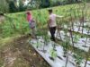 Dukung Ketahanan Pangan Nasional, Bhabinkamtibmas Masbagik Utara Baru Sambangi Warga dan Monitoring Lahan Pertanian
