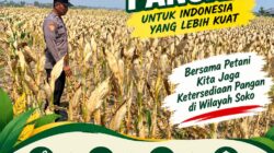 Polsek Soko Polresta Tuban Turun Langsung Cek Tanaman Jagung Warga