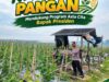 Dukung Ketahanan Pangan Nasional, Polsek Bangilan Monitoring Pertumbuhan Tanaman Jagung