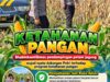 Mendukung Program Ketahanan Pangan, Bhabinkamtibmas Monitoring Pertumbuhan Jagung