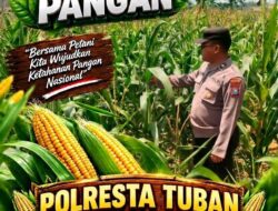 Kawal Swasembada Pangan, Polsek Jatirogo Pantau Langsung Tanaman Jagung di Desa Demit