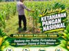 SAMBANG LAHAN JAGUNG DI DESA BINAAN DEMI MENDUKUNG KETAHANAN PANGAN