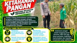 Dukung Astacita, Polsek Palang Polresta Tuban Pantau Langsung Lahan Jagung milik warga Desa Wangun