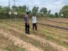 Dukung Asta Cita Presiden, Polsek Tambakboyo Aktif Dampingi Petani Manfaatkan Lahan Pekarangan