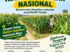 Polsek Soko Polresta Tuban Turun Langsung Cek Tanaman Jagung Warga  TUBAN, Soko (02/10/2026). Dalam rangka mendukung program Presiden Republik Indonesia terkait ketahanan pangan nasional, Polsek Soko Polresta Tuban terus berperan aktif mendampingi masyarakat, khususnya para petani di wilayah hukumnya.  Anggota Polsek Soko melaksanakan pengecekan lahan pertanian Jagung milik warga. Kegiatan tersebut merupakan tindak lanjut dari arahan Karo SDM Polda Jawa Timur Kombes Pol. Sih Harno, S.H., M.H., Kapolres Kota Tuban ,Kombespol Jazuli Dani Iriawan S.I.K.M.TR.Ospal serta Kapolsek Soko AKP.  Haryono, S.H., yang menekankan pentingnya keterlibatan Polri dalam mendukung program pemerintah, khususnya di bidang ketahanan pangan.  Kapolsek Soko AKP.  Haryono, S.H., menyampaikan bahwa Polri tidak hanya bertugas menjaga keamanan dan ketertiban masyarakat, tetapi juga hadir untuk mendampingi serta membantu masyarakat dalam mewujudkan program-program strategis nasional.  “Pengecekan tanaman Jagung ini merupakan bentuk nyata dukungan Polri terhadap program ketahanan pangan nasional sebagaimana tercantum dalam Asta Cita Presiden Republik Indonesia. Kami ingin memastikan para petani mendapatkan pendampingan serta dukungan yang diperlukan untuk meningkatkan hasil pertanian mereka,” ujar AKP Haryono, S.H.  Dalam kegiatan tersebut, anggota polsek Soko berdialog langsung dengan para petani guna mengetahui berbagai kendala yang dihadapi, mulai dari perawatan tanaman, ketersediaan pupuk, hingga potensi serangan hama. Hasil pemantauan ini nantinya akan menjadi bahan evaluasi dan koordinasi dengan pihak terkait dalam upaya meningkatkan produktivitas pertanian di wilayah Kecamatan Soko.  Melalui kegiatan turun langsung ke lahan pertanian, Polri berharap dapat mempererat sinergi dengan masyarakat serta berkontribusi dalam mewujudkan swasembada pangan dan ketahanan pangan nasional yang menjadi salah satu prioritas pemerintah.