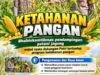 Mendukung Program Ketahanan Pangan, Bhabinkamtibmas Monitoring Pertumbuhan Jagung