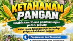 Mendukung Program Ketahanan Pangan, Bhabinkamtibmas Monitoring Pertumbuhan Jagung