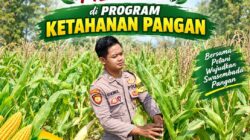 Anggota Bhabinkamtibmas Polsek Senori Polresta Tuban Lakukan Pemantauan Tanaman Jagung Warga Desa Wanglukulon Dukung Program Ketahanan Pangan