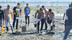 Kapolres Bima Kota Tanam Mangrove di Pantai Lawata, Wujud Kepedulian terhadap Kelestarian Lingkungan