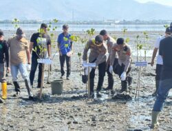 Kapolres Bima Kota Tanam Mangrove di Pantai Lawata, Wujud Kepedulian terhadap Kelestarian Lingkungan