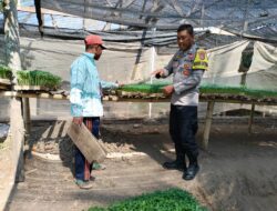 Bhabinkamtibmas Bagik Papan Cek Bibit Pertanian, Dukung Program Ketahanan Pangan