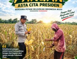 Polsek Plumpang Polresta Tuban Turun Langsung Cek Tanaman Jagung Warga