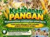 Mendukung Program Ketahanan Pangan, Bhabinkamtibmas Monitoring Pertumbuhan Jagung