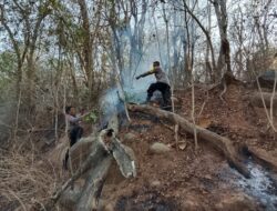 Polsek Wawo Lakukan Penanganan dan Pencegahan Karhutla, Warga Diimbau Tidak Membakar Hutan dan Lahan