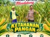 Polisi RW Polsek Senori Polresta Tuban Monitoring Tanaman Jagung Warga Desa Medalem