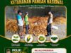 POLSEK KEREK POLRESTA TUBAN MONITORING GUDANG PENYIMPANAN DAN PENGERINGAN JAGUNG DI DESA BINAAN