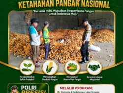 POLSEK KEREK POLRESTA TUBAN MONITORING GUDANG PENYIMPANAN DAN PENGERINGAN JAGUNG DI DESA BINAAN