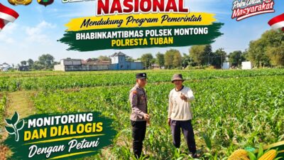 Mendukung Asta Cita Presiden bhabinkamtibmas Polsek Montong Polresta Tuban Pantau Kodisi Tanaman Jagung Milik Warga Desa pakel