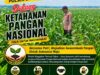 Anggota Polsek Singgahan Polresta Tuban Turun Cek Tanaman jagung Warga di Desa Lajo lor