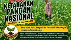 Anggota Polsek Singgahan Polresta Tuban Turun Cek Tanaman jagung Warga di Desa Lajo lor