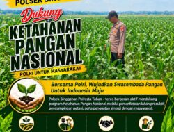 Anggota Polsek Singgahan Polresta Tuban Turun Cek Tanaman jagung Warga di Desa Lajo lor