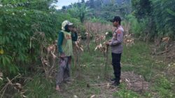 Polsek Grabagan Polresta Tuban Turun Langsung Cek Tanaman Jagung Warga