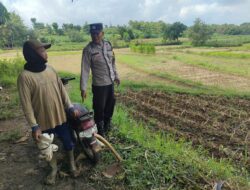 Dukung Astacita, Polsek Jatirogo Polresta Tuban Pantau Langsung Lahan Jagung milik warga Desa Bader