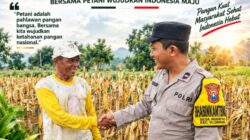 Polsek Plumpang Polresta Tuban Turun Langsung Cek Tanaman Jagung Warga