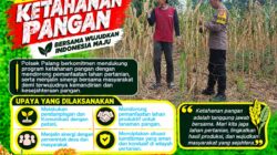 Dukung Astacita, Polsek Palang Polresta Tuban Pantau Langsung Lahan Jagung milik warga Desa Dawung
