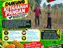 Dukung Astacita, Polsek Palang Polresta Tuban Pantau Langsung Lahan Jagung milik warga Desa Dawung