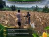 Polsek Parengan Polresta Tuban Pantau Lahan Jagung Warga Desa Parangbatu Dukung Program Astacita