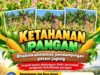Mendukung Program Ketahanan Pangan, Bhabinkamtibmas Monitoring Pertumbuhan Jagung