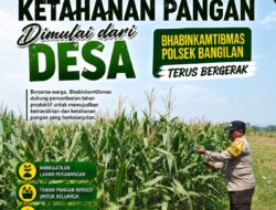 KETAHANAN PANGAN POLSEK BANGILAN