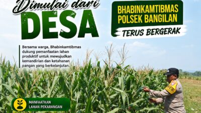 KETAHANAN PANGAN POLSEK BANGILAN