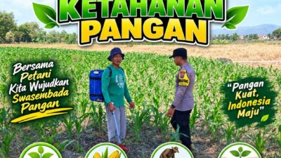 Dukung Ketahanan Pangan Bhabinkamtibmas Polsek Senori Polresta Tuban Bantu Pemupukan Tanaman Jagung Milik Petani Desa Wanglukulon
