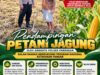 Polsek Parengan Polresta Tuban Pantau Lahan Jagung Warga Desa Pacing Dukung Program Astacita