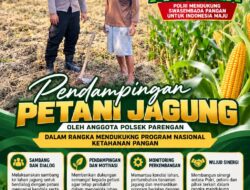 Polsek Parengan Polresta Tuban Pantau Lahan Jagung Warga Desa Pacing Dukung Program Astacita