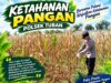 Polsek Tuban Dukung Ketahanan Pangan melalui Sambang dan Monitoring Lahan Pertanian