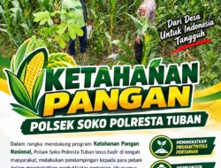 Dukung Ketahanan Pangan, Polsek Bangilan Monitoring Tanaman Jagung