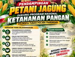 Mendukung Program Ketahanan Pangan, Bhabinkamtibmas Monitoring Pertumbuhan Jagung