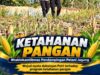 Mendukung Program Ketahanan Pangan, Bhabinkamtibmas Monitoring Pertumbuhan Jagung