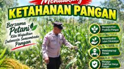 Dukung Program Ketahanan Pangan, Polsek Bangilan Monitoring Pertumbuhan Tanaman Jagung